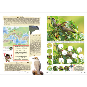 Auf Entdeckungsreise durch unsere Natur - Vögel (Rätselheft)